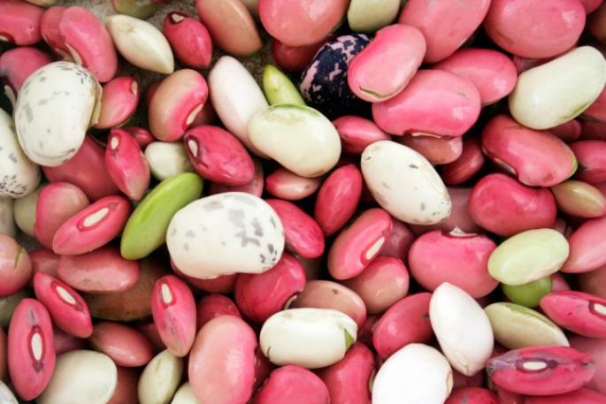 Beans.  Beneficial features.  Eating beans for weight loss What not to eat beans with