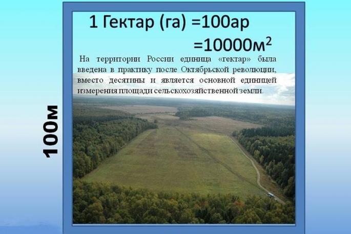 Calculator for calculating the area of ​​an irregularly shaped land plot